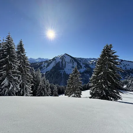 Panoramablick Mit Balkon, Grosse Sauna, Alpenjuwel 2 Lägenhet Oberstdorf
