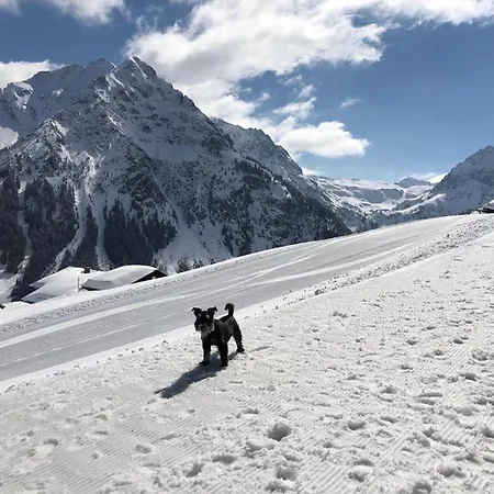 Panoramablick Mit Balkon, Grosse Sauna, Alpenjuwel 2 Lägenhet